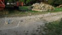 DSCN5832