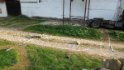 DSCN5835